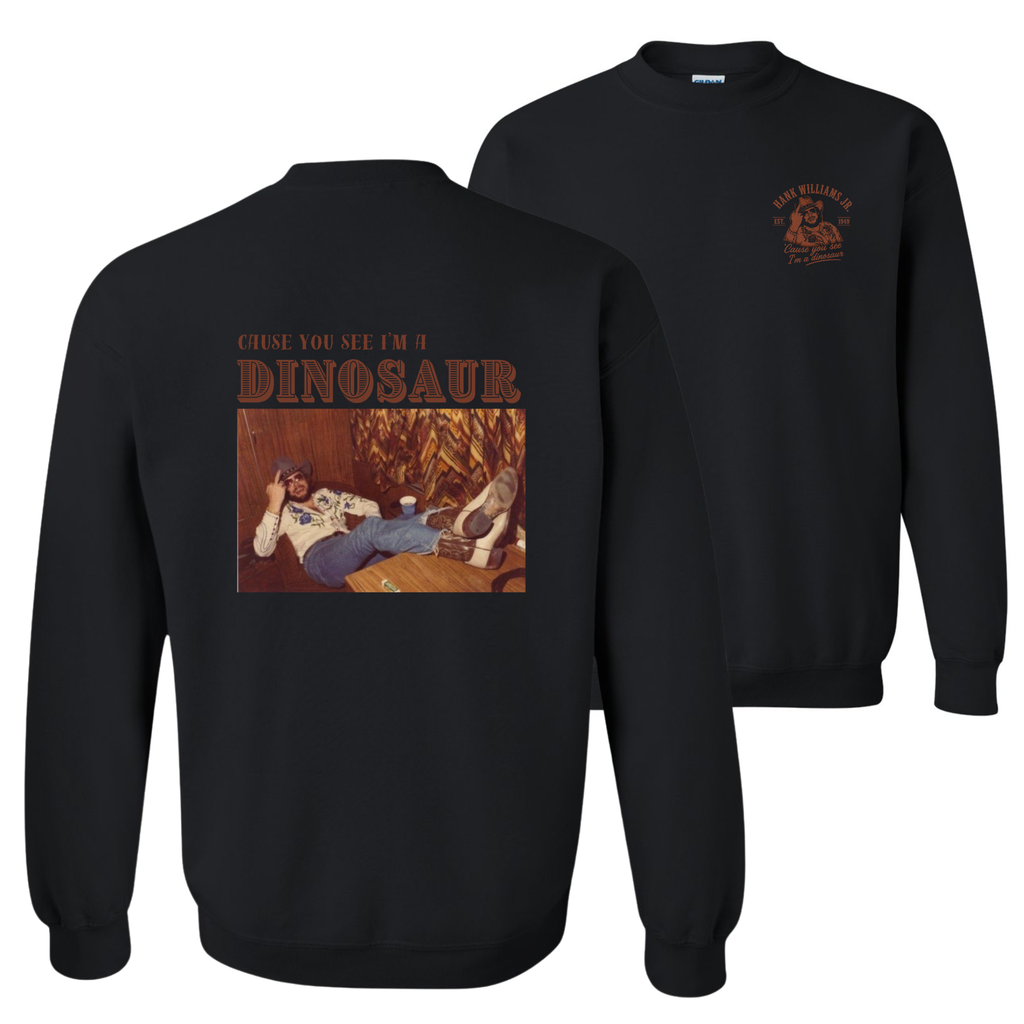 Hank Jr. Dinosaur Sweatshirt